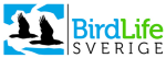 Sveriges Ornitologiska Fören Birdlife Sverige logotyp
